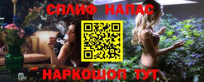 бошки Дубна
