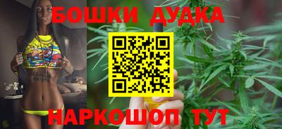 бошки Дубна